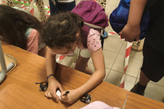 2026_5nap_esti_207