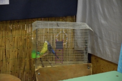 7nap_pic015