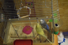 8nap_pic015
