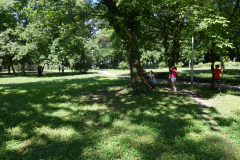 2020_4nap_042