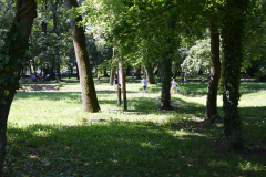 2020_4nap_043