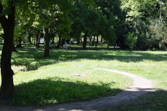 2020_4nap_046