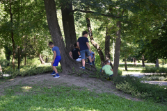 2020_4nap_052