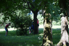 2020_4nap_066