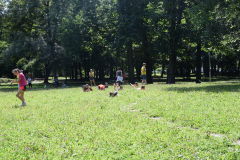 2020_4nap_102
