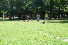 2020_4nap_108